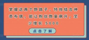 从0到5K+：宝妈玩转抖音神器，猪头特效&布偶玩具打造人气爆棚的创业之路-宝妈福缘创业网