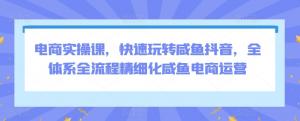 宝妈创业宝典：一站式掌握咸鱼&抖音电商玩法，精细化运营步步为赢-宝妈福缘创业网