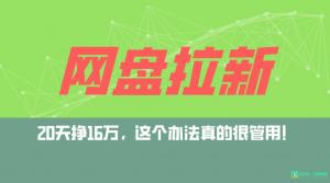 日照宝妈实战心得：从零开始打造网盘拉新自动收益机器，20天斩获16万，新手亦能日入千元+-宝妈福缘创业网